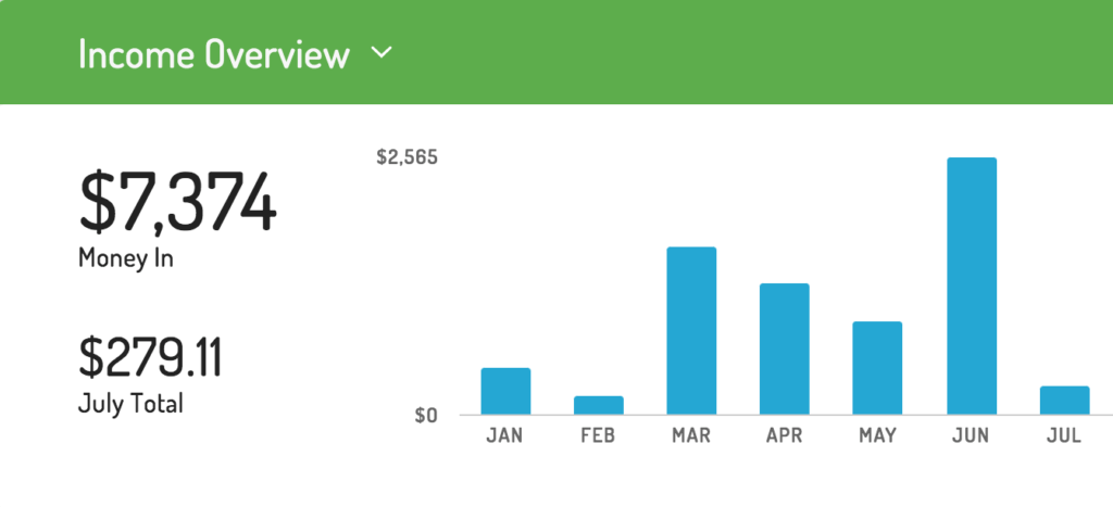 Year-to-date Income Report